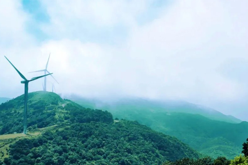 影片｜廣西康養「上大分」！11個市上榜候鳥式養老冬季棲息地
