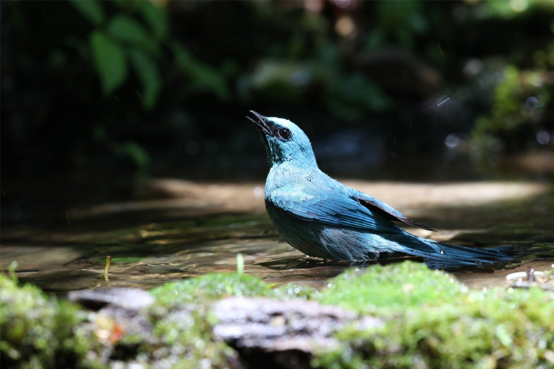 影片｜七旬老人相簿裡看見中越邊境新風景