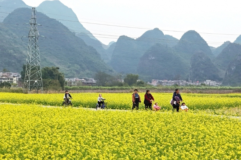 金色花海樂享假期