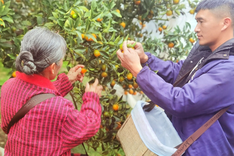 影片｜廣西傳統果品在養生賽道闖出百億身價