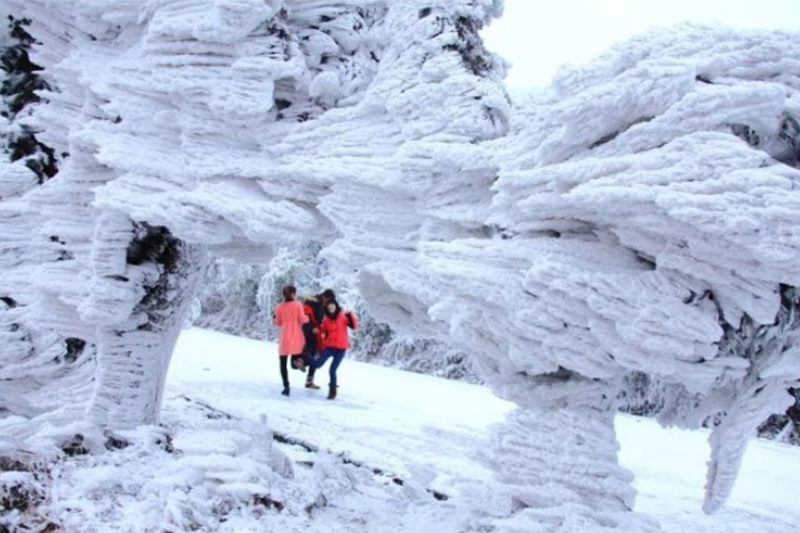桂林將有霧凇盛宴