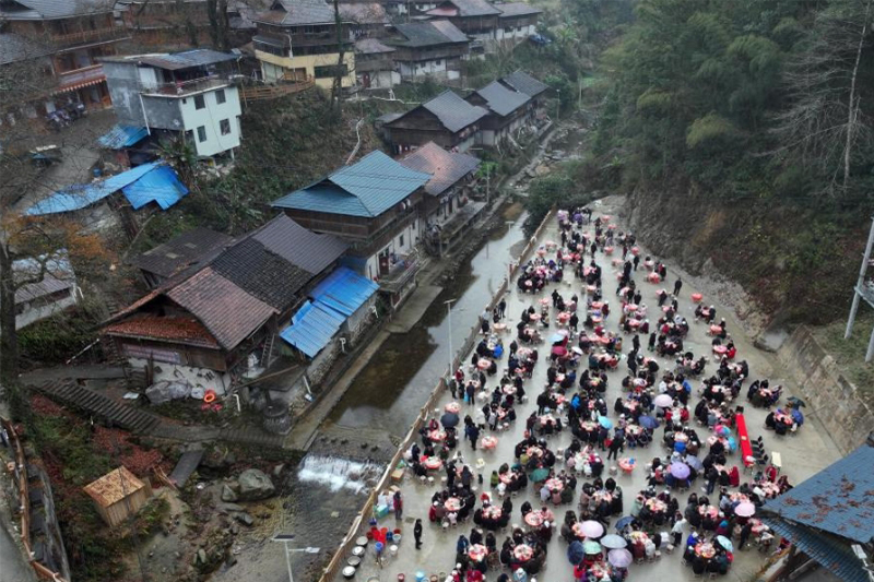 大寒時節苗年樂