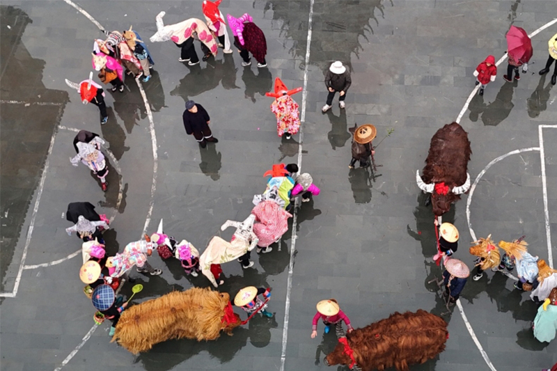 立春「鬧春牛」巡遊迎春祈福