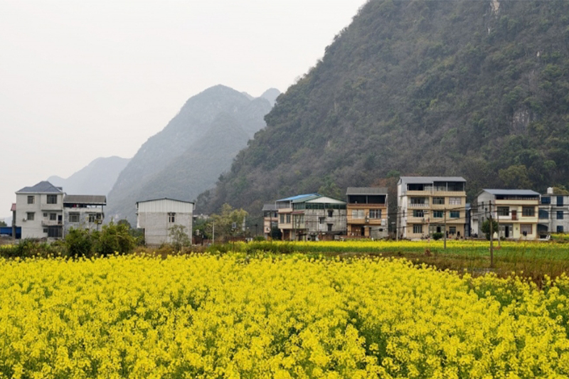 立春時節桂北春意濃