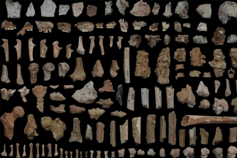 影片｜距今3.6萬年！廣西吉到遺址發現東亞最早墓葬群