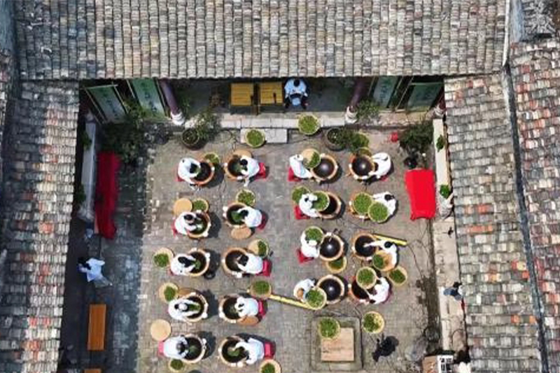 影片｜興業舉辦「春茶大會」 茶工競技展匠心