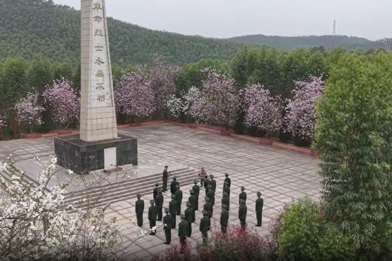 影片｜廣西柳武警祭掃英烈致敬堅守陵園60載老兵