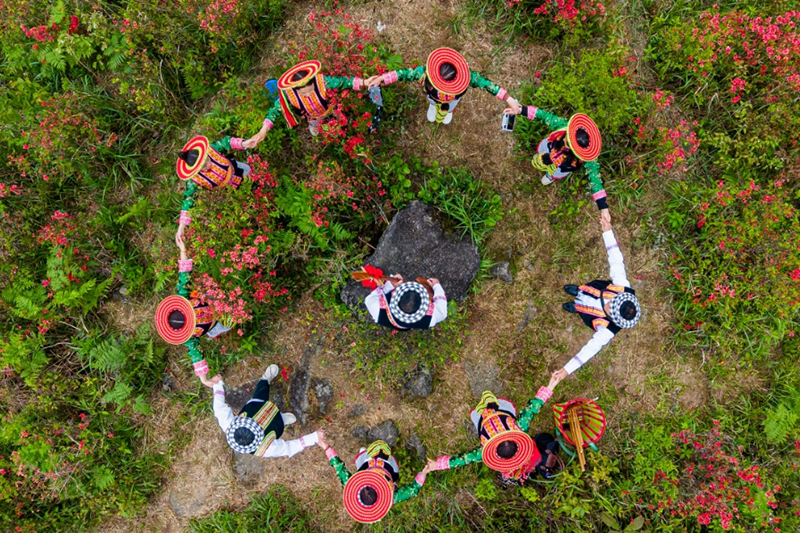 漫山紅萼染青巒花瑤歌舞醉遊人