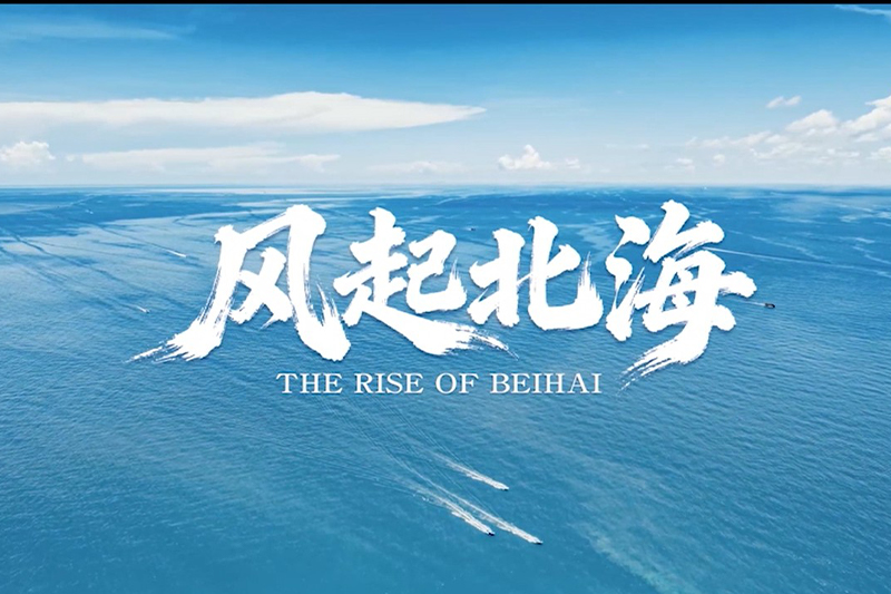 影片｜風起北海