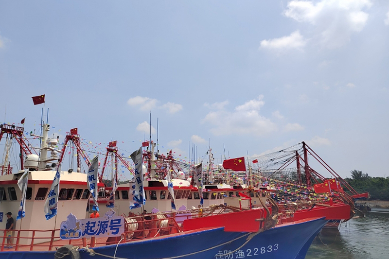 影片｜長沙11歲「殺魚妹」來北海開海現場啦！
